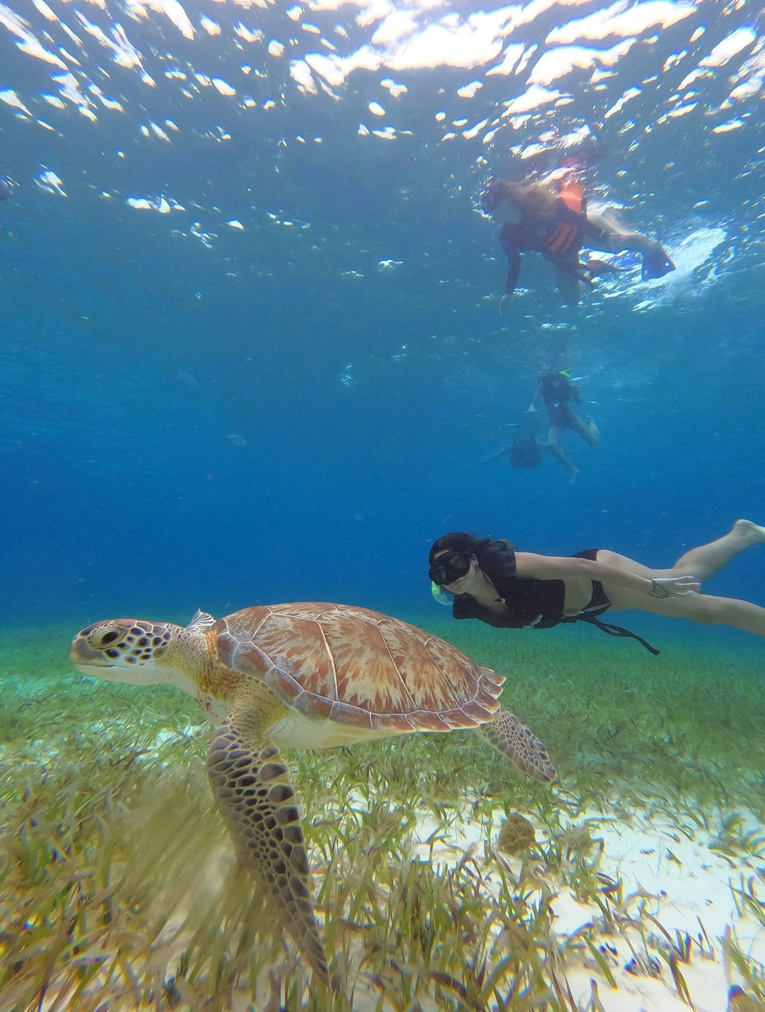 Private Snorkeling Costa Maya